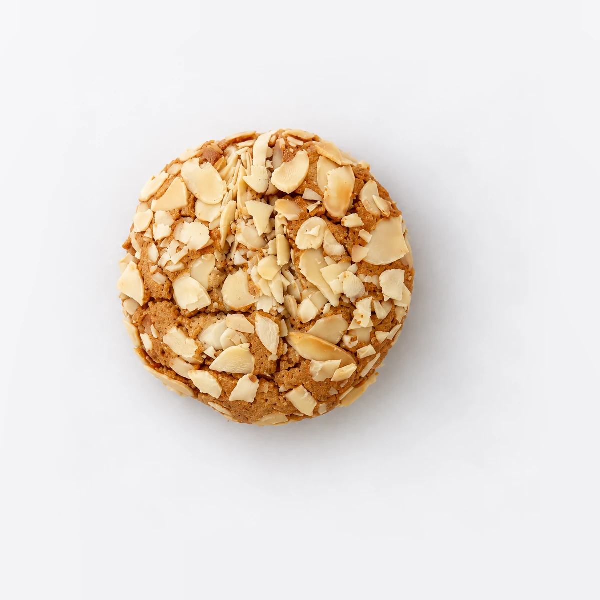 Almond Biscuit, from above