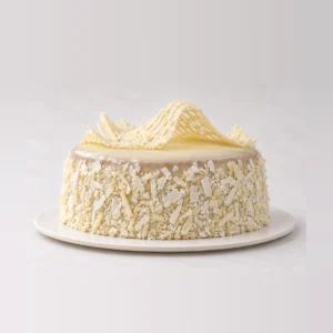 Arctic Mud Cake, texture close-up